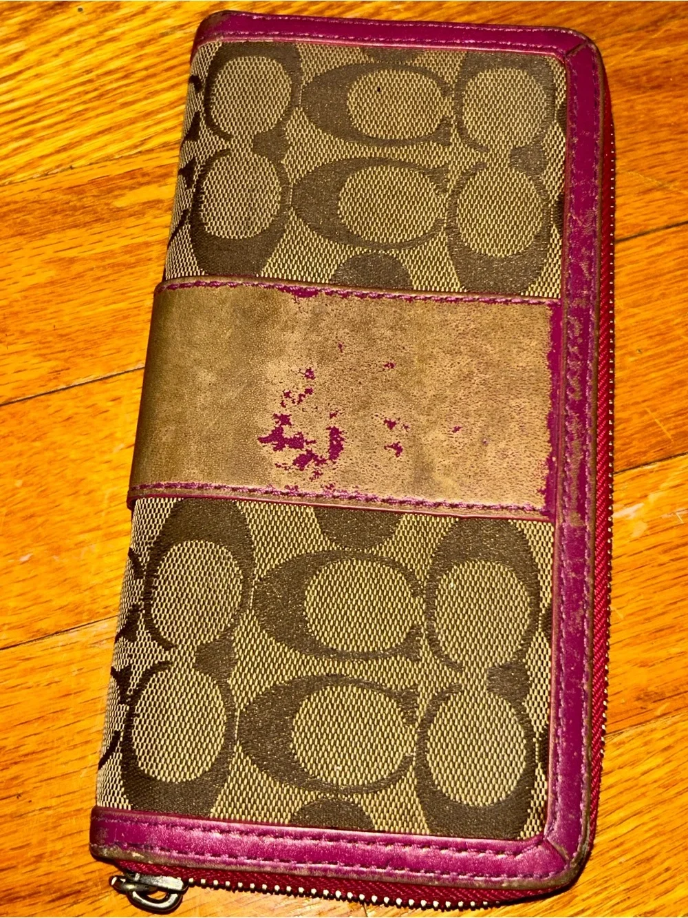 ✨REHAB✨Beautiful Coach writlets/wallets